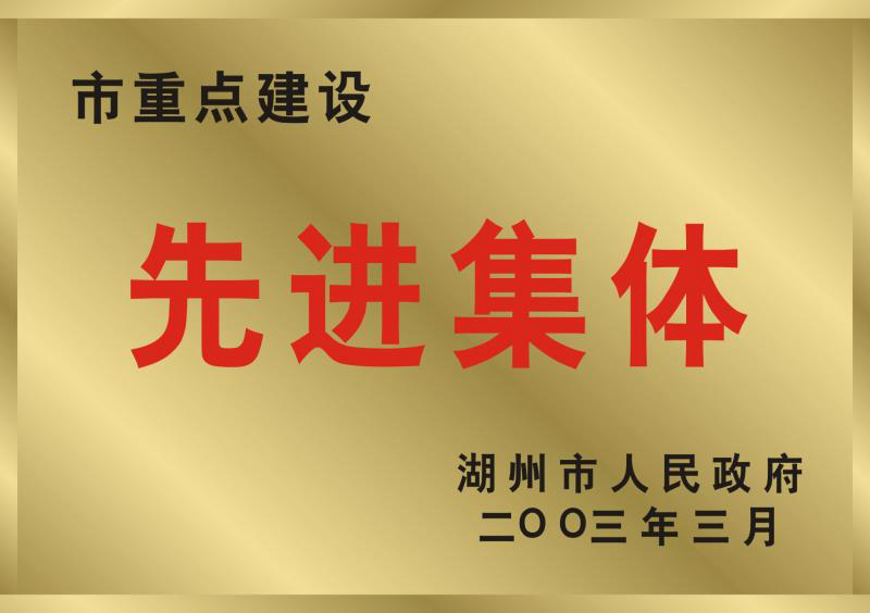 2002年度湖州市重点建设先进集体